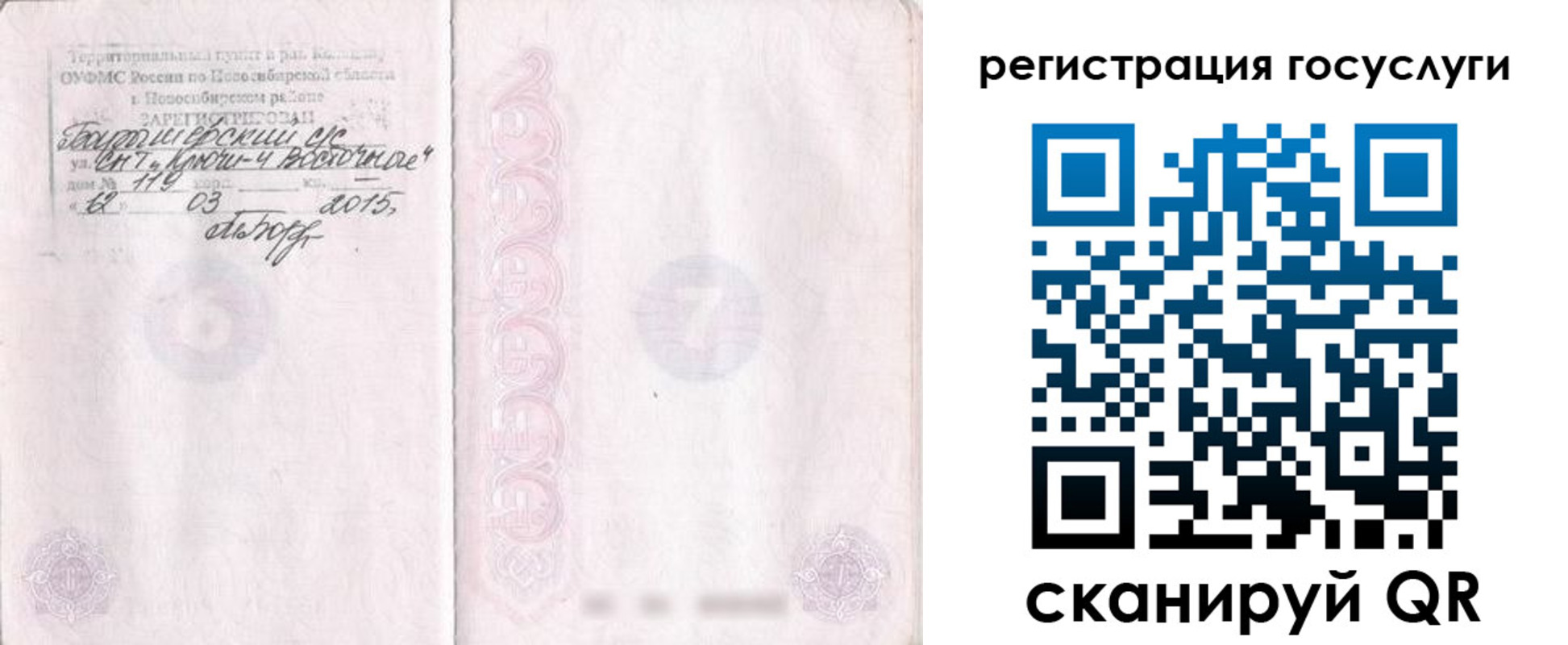 прописка для школы в Сланцах